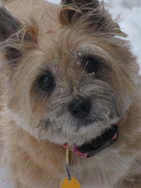 Molly 