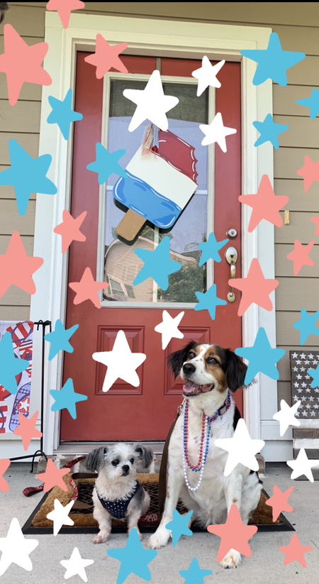 Bella and Sophie Looking fly on the 4th of July!