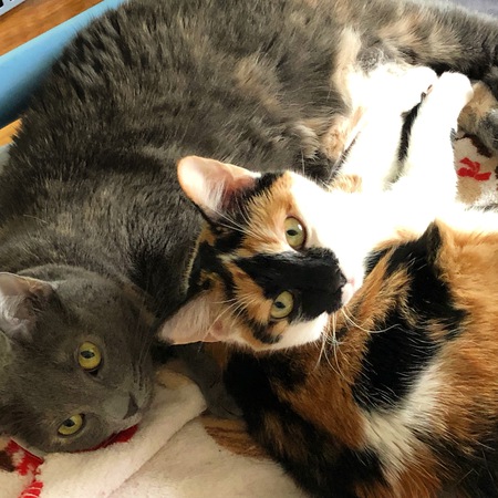 Pickles and Pepper