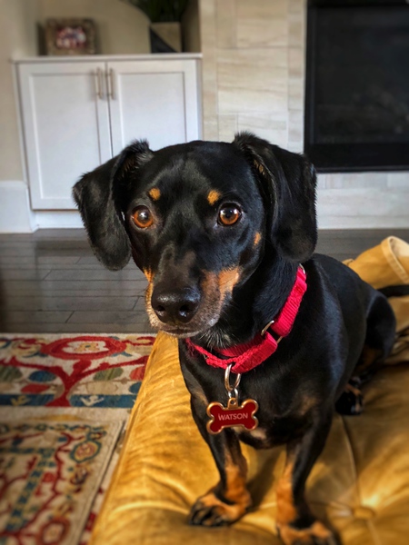 Watson