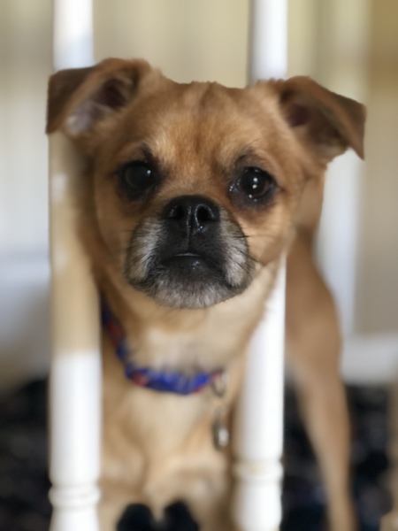 Bubba