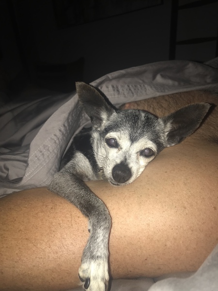 Bella