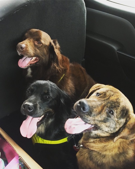 Archie, Eli, and Layla