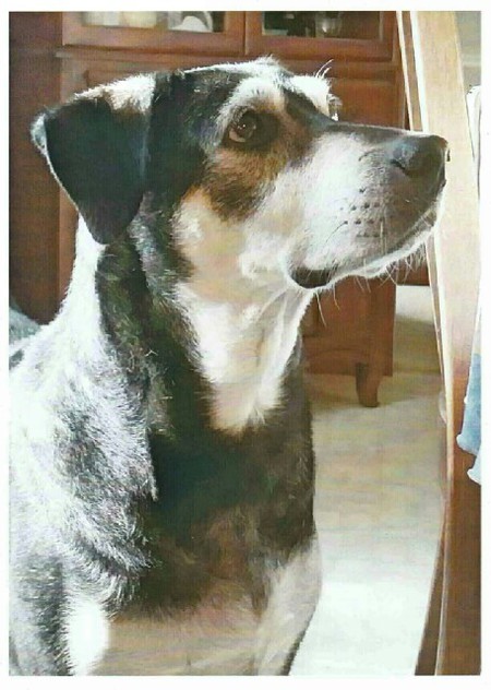 Sadie