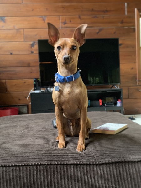 Walter