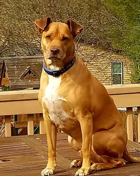 Jake
