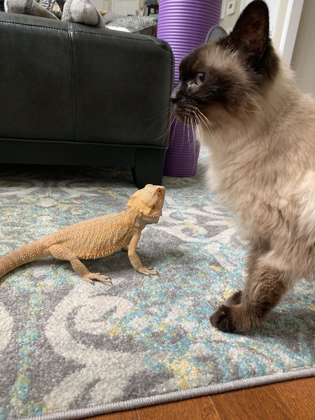 Mika and Cruz