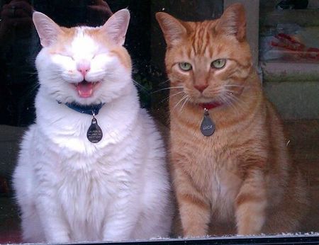 Sonny and Luca
