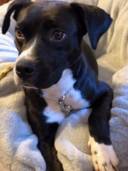 LuLu 