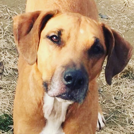 Maggie