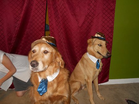 Kepler and Pete