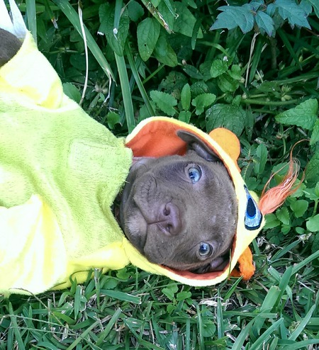 Winnie