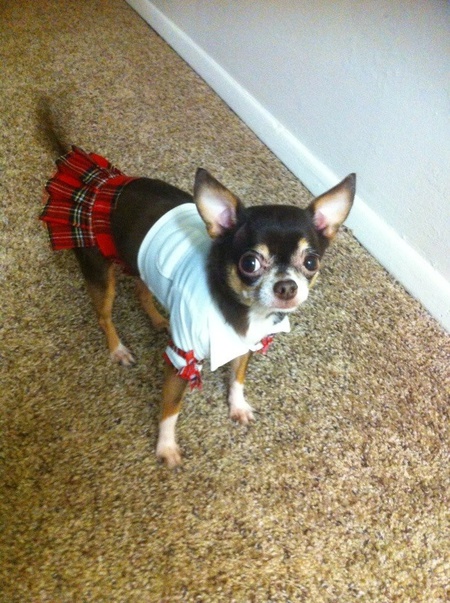 Roxy