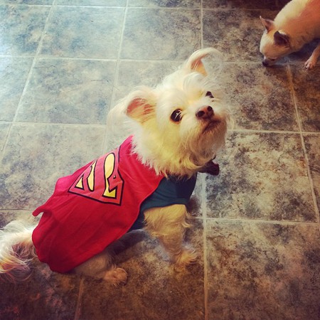 Paco