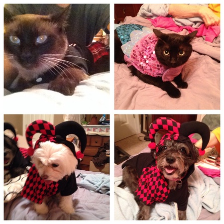 Jazz, Zack, Bitsy and Ali