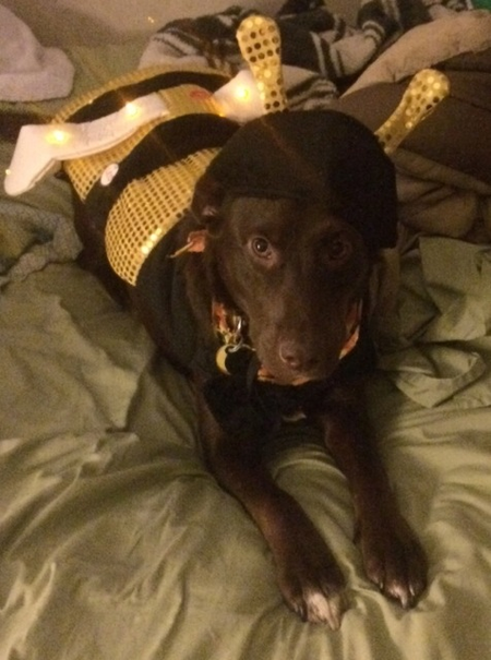 Maggie