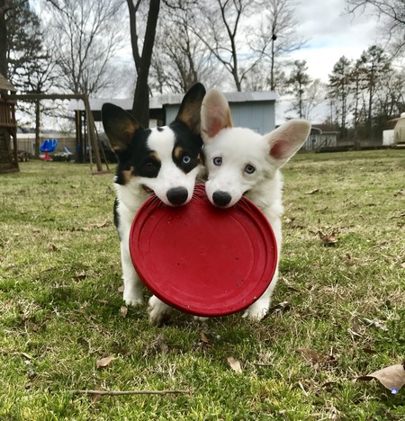 Tucker Lee and Finley