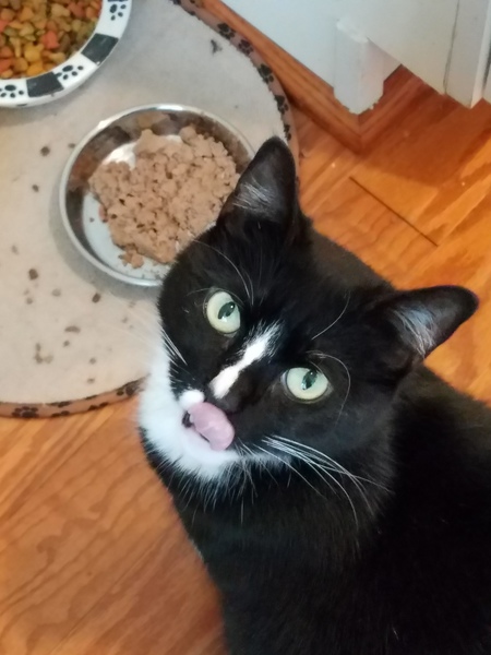 Tippy (formerly known as Bella)