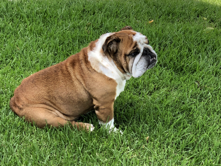 Murphy