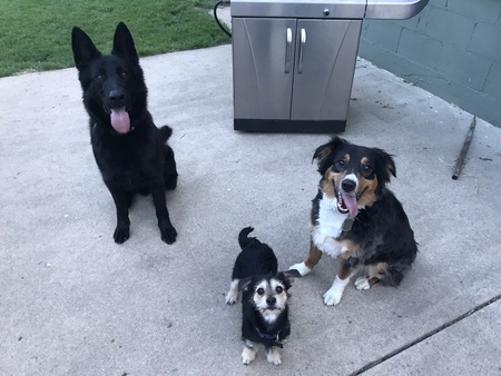 Gunner, Ruger, Macho