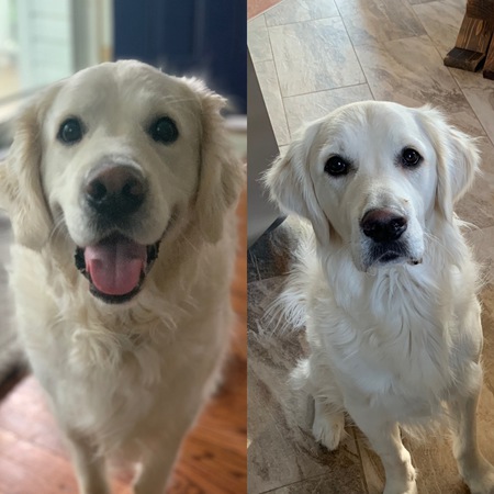 Buddy and Walter 