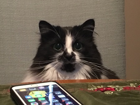 Chloe