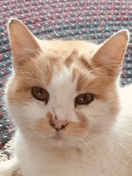 Rusty 