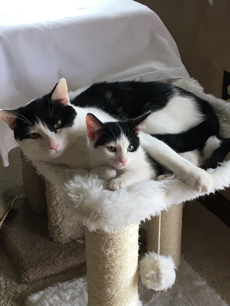 Charlie and Dewey
