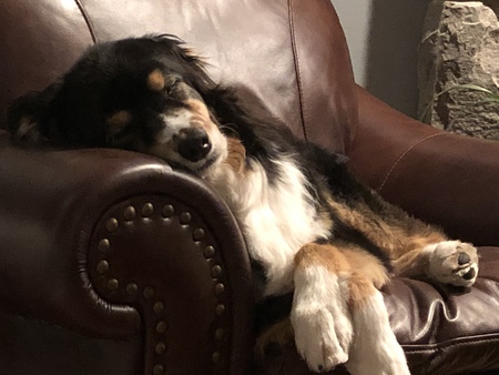 Jasper
