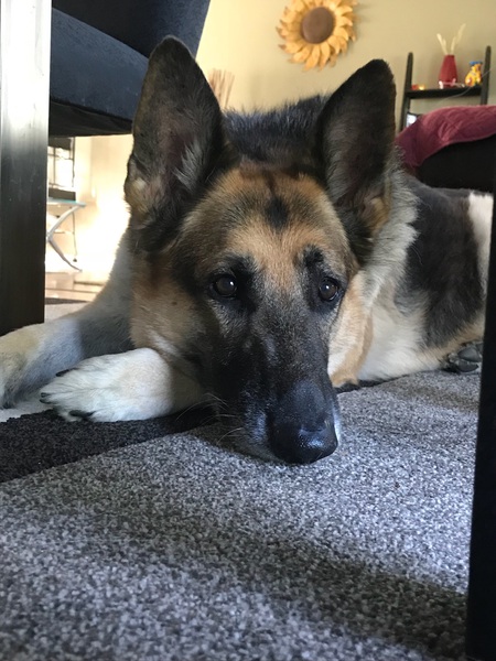Remi