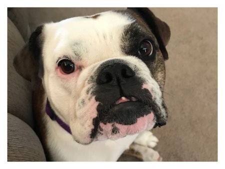 Lucy