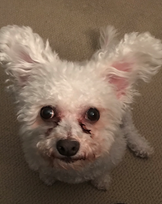 Lucy