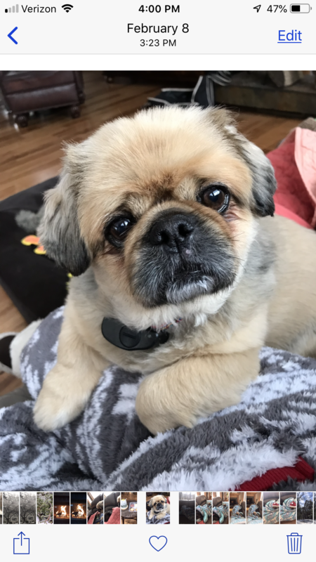 Chumley