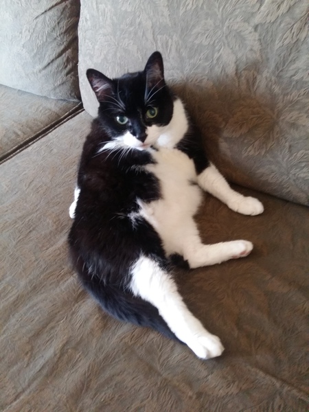 OREO