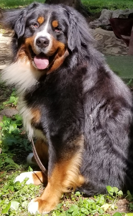 Vinnie 