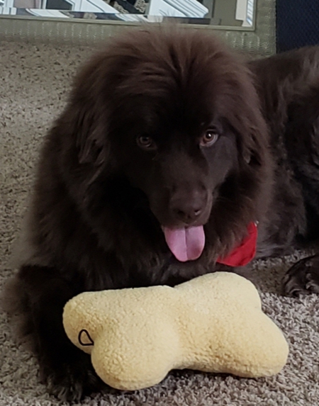 Cooper