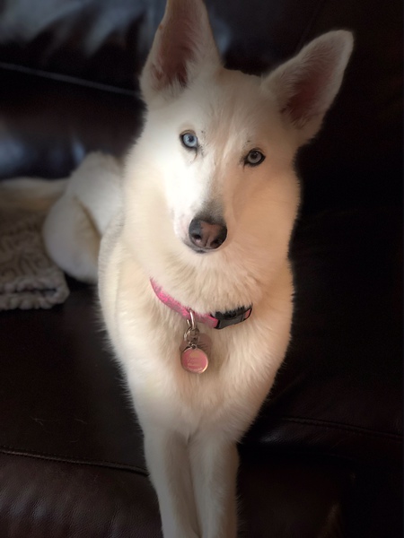 Luna Snow