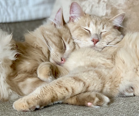 Belle and Jim