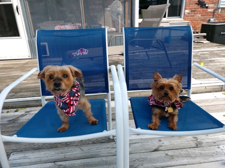 Jersey & Poco