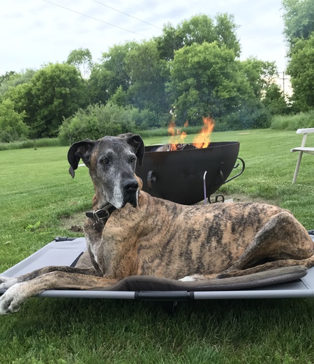 Duke