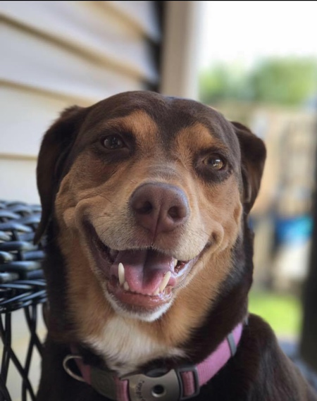Penelope