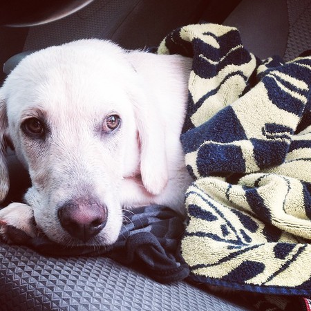 Finley