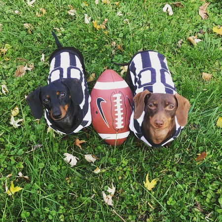 Olive & Clara