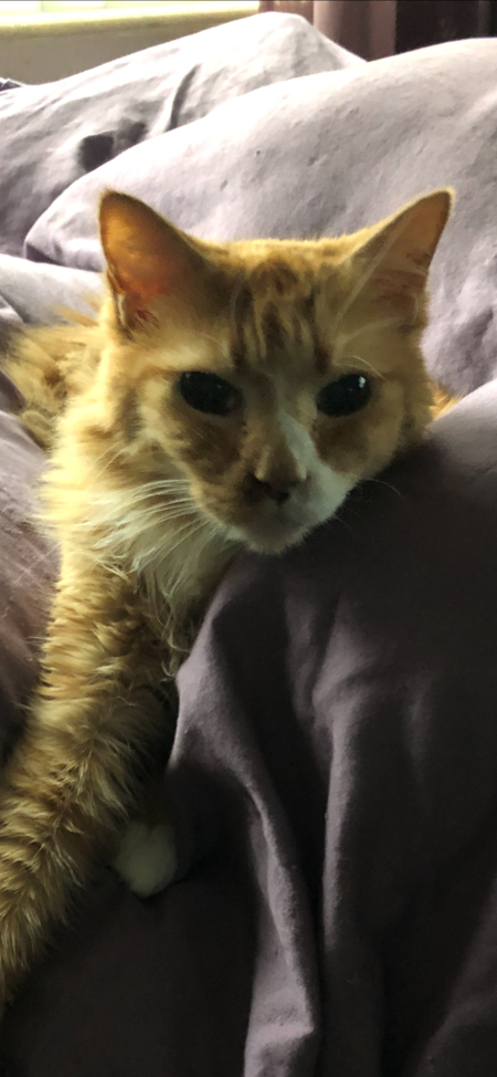 Max