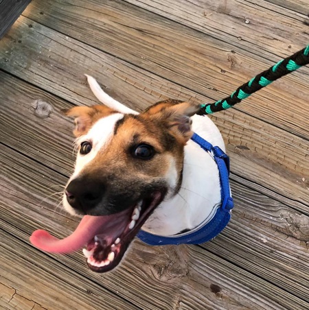 Kona
