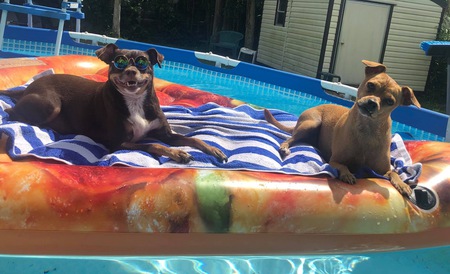 Daytona & Sandi
