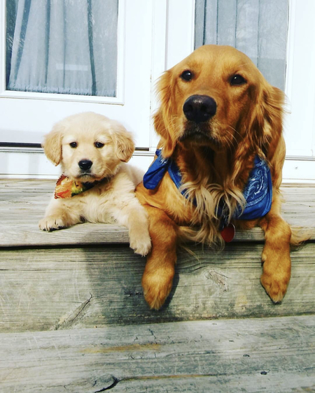 Millie and Zion 