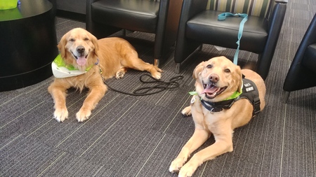 Max and Bentley