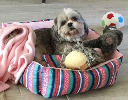 Chloe