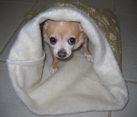 PEANUT